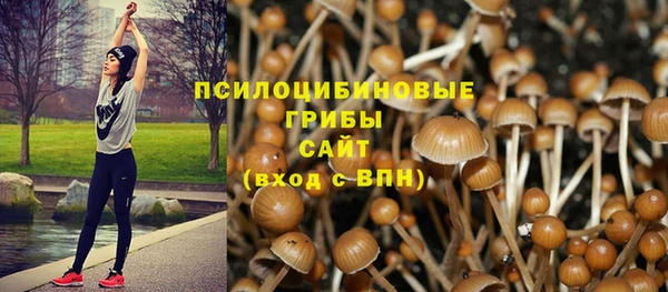 стафф Алексеевка