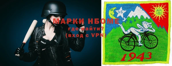 метадон Алексин