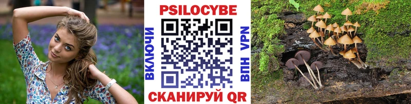 Псилоцибиновые грибы Magic Shrooms Полярные Зори